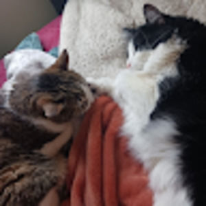 Meet your Posher, Tonya